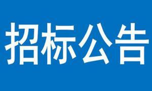 文達碧城府住宅小區(qū)建設項目Ⅱ期供配電工程 招標公告